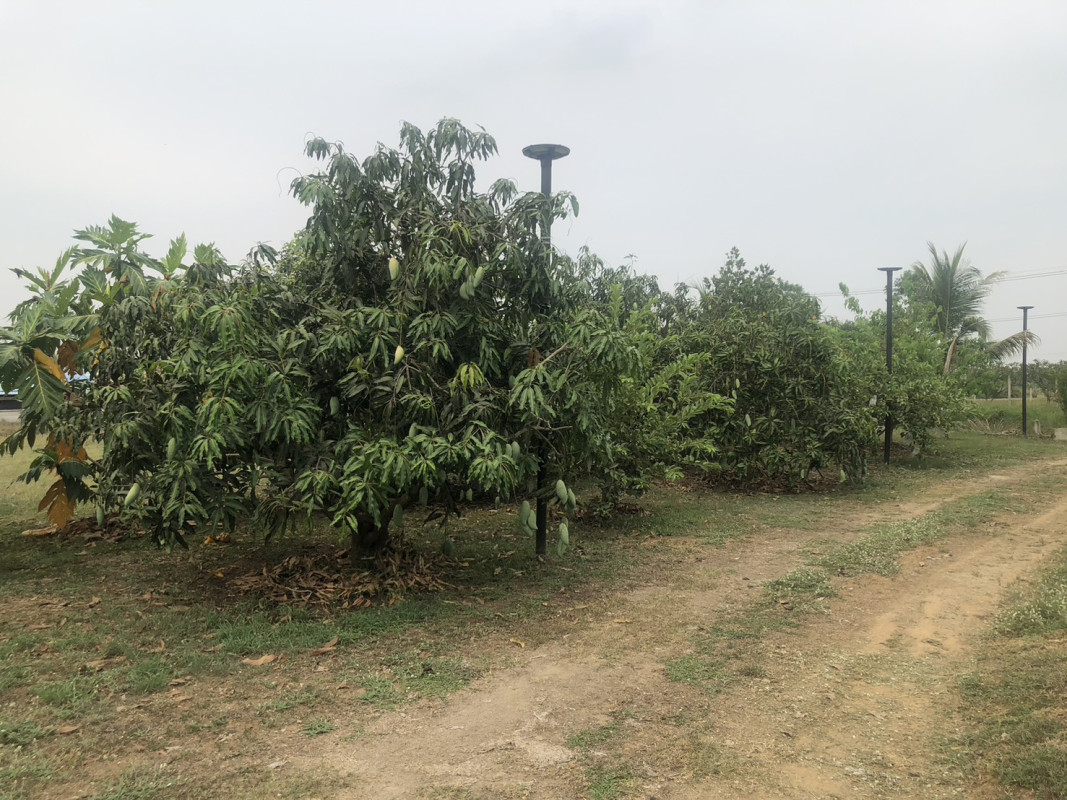 ที่ดินเปล่า ราชบุรี ปากท่อ อ่างหิน 3900000