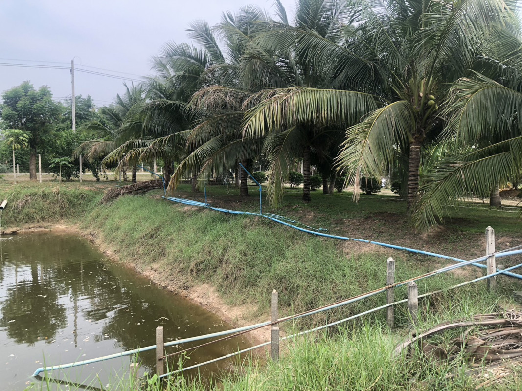 ที่ดินเปล่า ราชบุรี ปากท่อ อ่างหิน 3900000