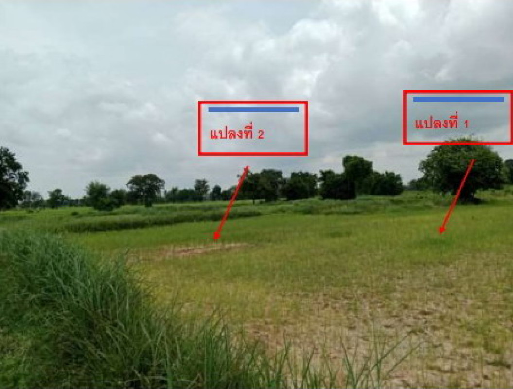 ที่ดินเปล่า กาฬสินธุ์ ยางตลาด หนองตอกแป้น 560000