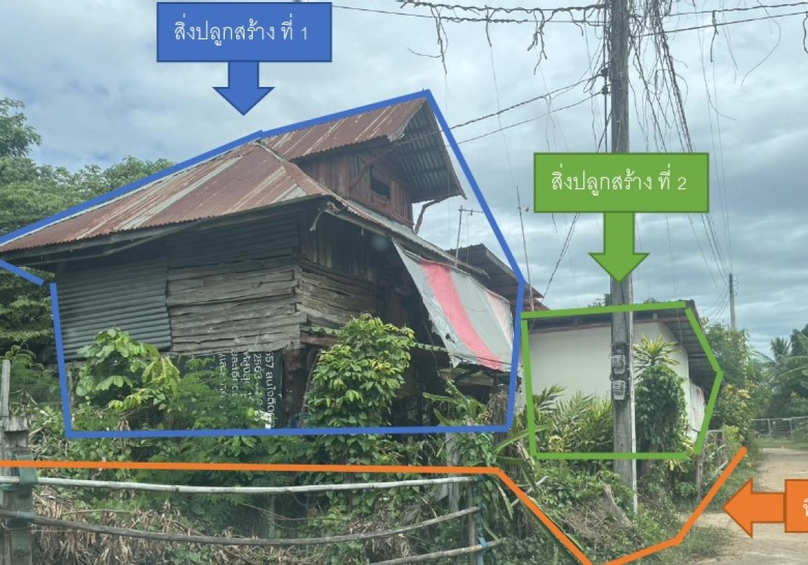 บ้านเดี่ยว สกลนคร พรรณานิคม ไร่ 295460