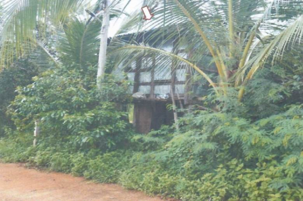 บ้านเดี่ยว สกลนคร อากาศอำนวย อากาศ 1228600