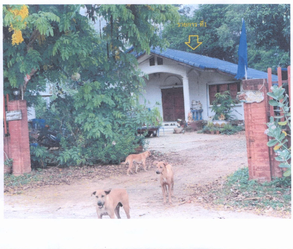 บ้านเดี่ยว ศรีสะเกษ ขุนหาญ โพธิ์วงศ์ 718920