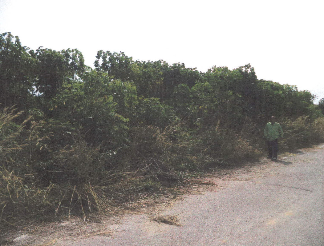 Residential land/lot Lampang Thoen Lom Raet 119000