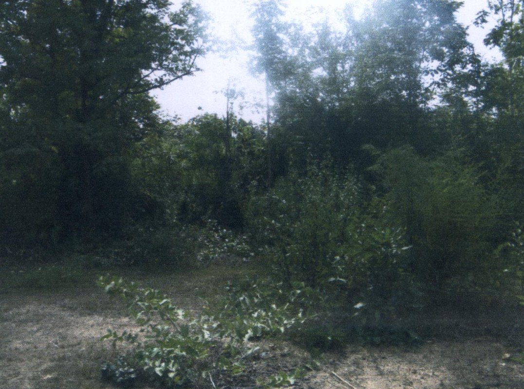 ที่ดินเปล่า ลำปาง เถิน ล้อมแรด 61600