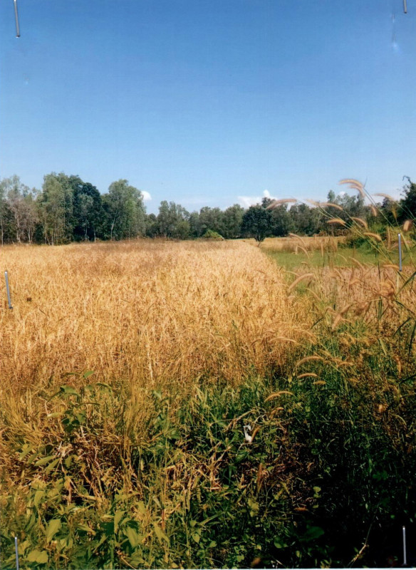 Residential land/lot Lampang Ko Kha Lai Hin 463000