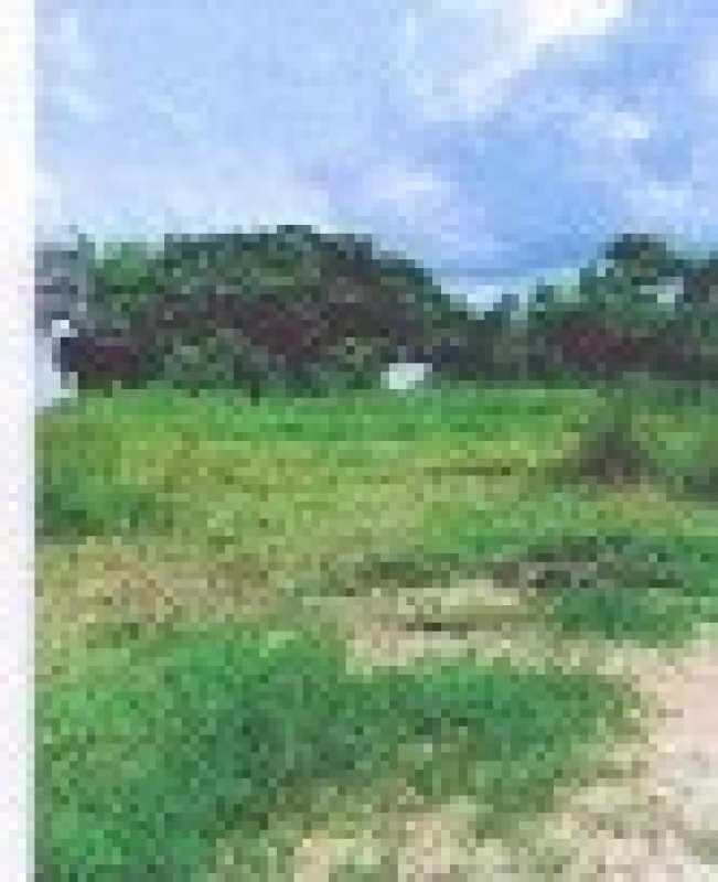 Residential land/lot Nong Bua Lam Phu Mueang Nong Bua Lam Phu Nong Bua 570000