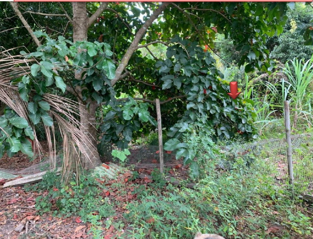 Residential land/lot Si Sa Ket Kantharalak Cham 14400