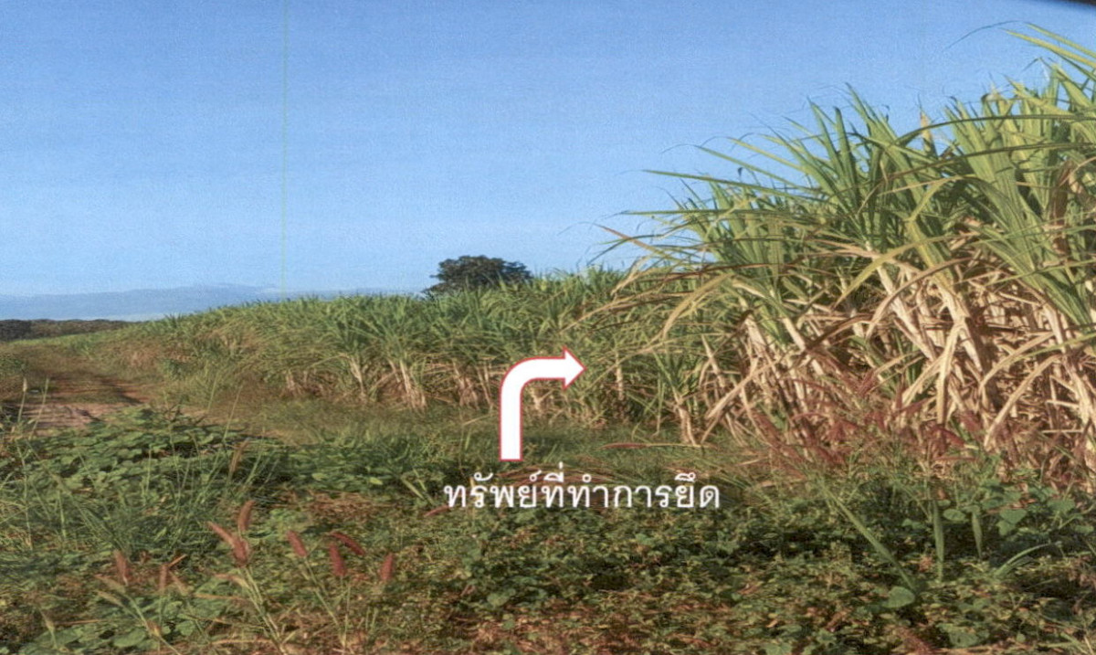 ที่ดินเปล่า กาฬสินธุ์ ห้วยเม็ก ห้วยเม็ก 293000