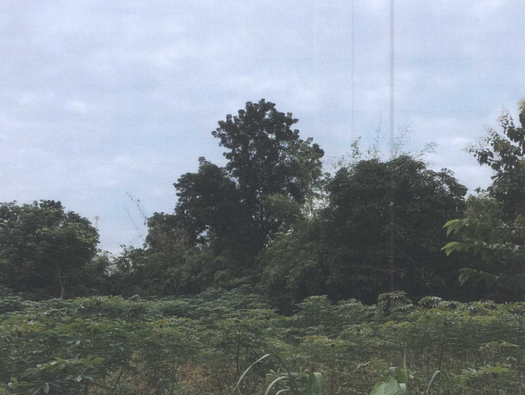 Residential land/lot Khon Kaen Nam Phong Wang Chai 180900