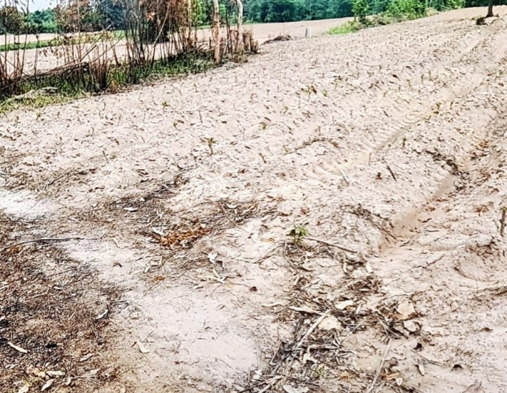 ที่ดินเปล่า อุบลราชธานี นาเยีย นาดี 41200