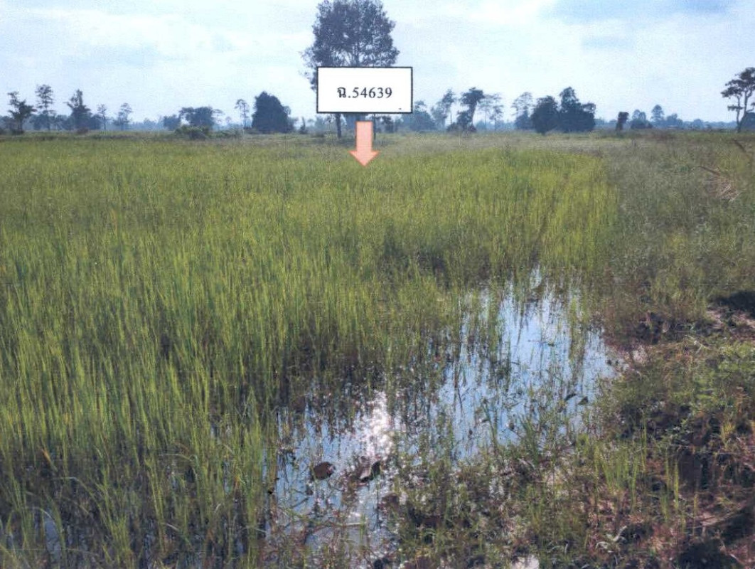 Residential land/lot Buri Ram Nang Rong Thung Saeng Thong 923750