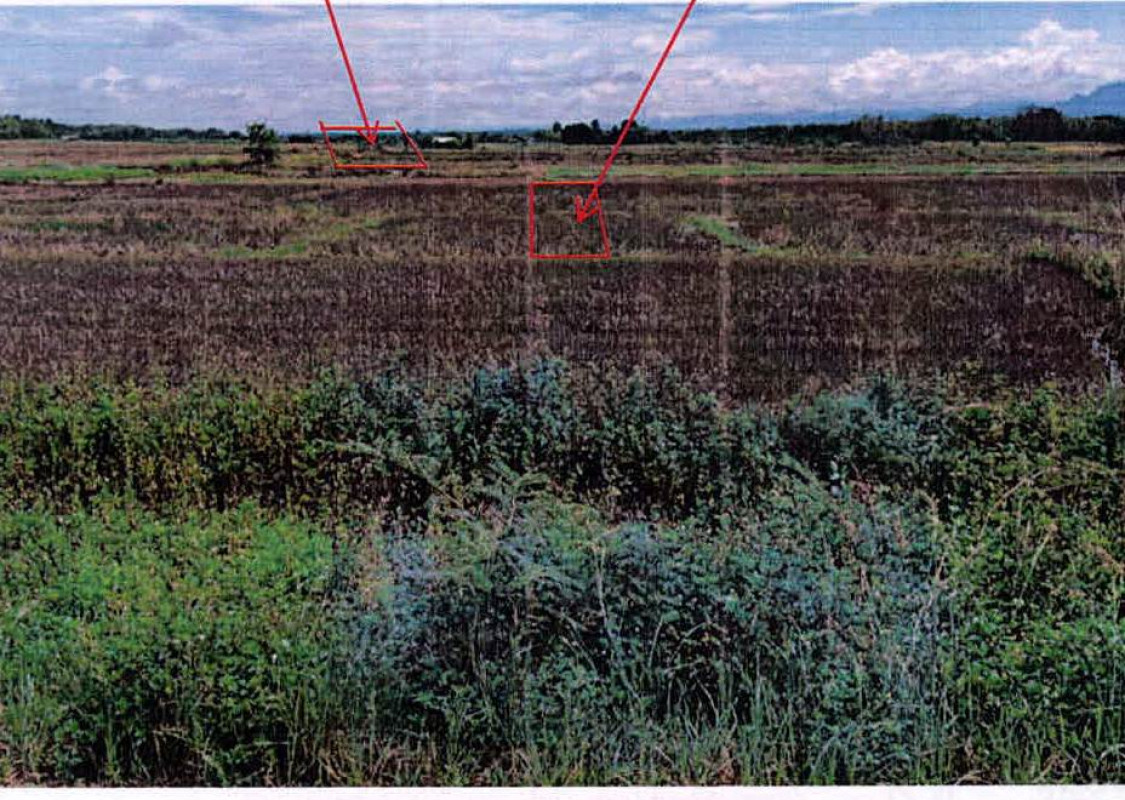 Residential land/lot Lampang Chae Hom Wichet Nakhon 29200