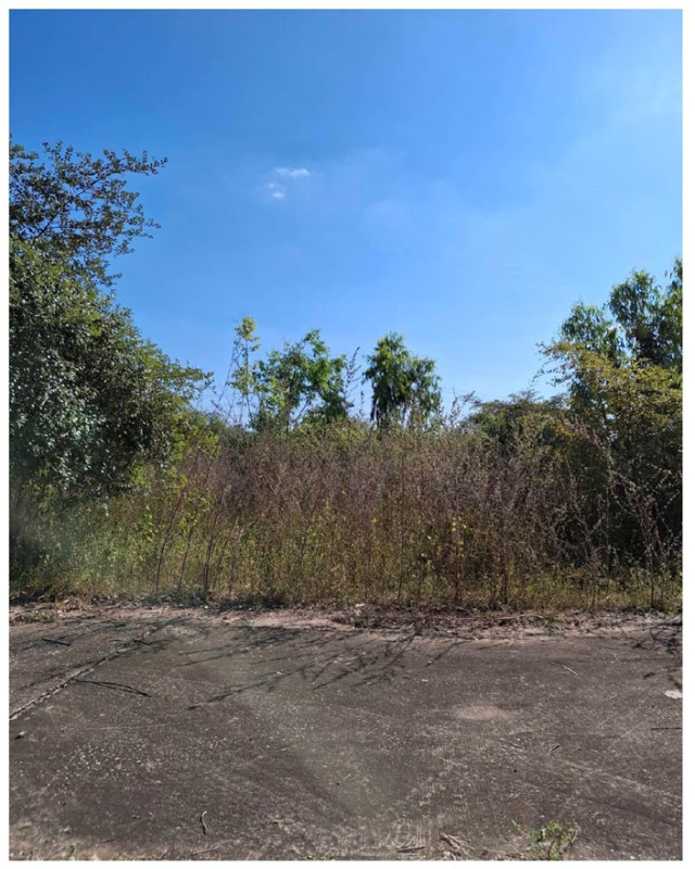 Residential land/lot Khon Kaen Nam Phong Kut Nam Sai 100000