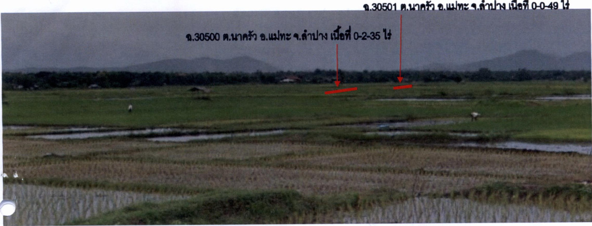 Residential land/lot Lampang Mae Tha Na Khrua 18375
