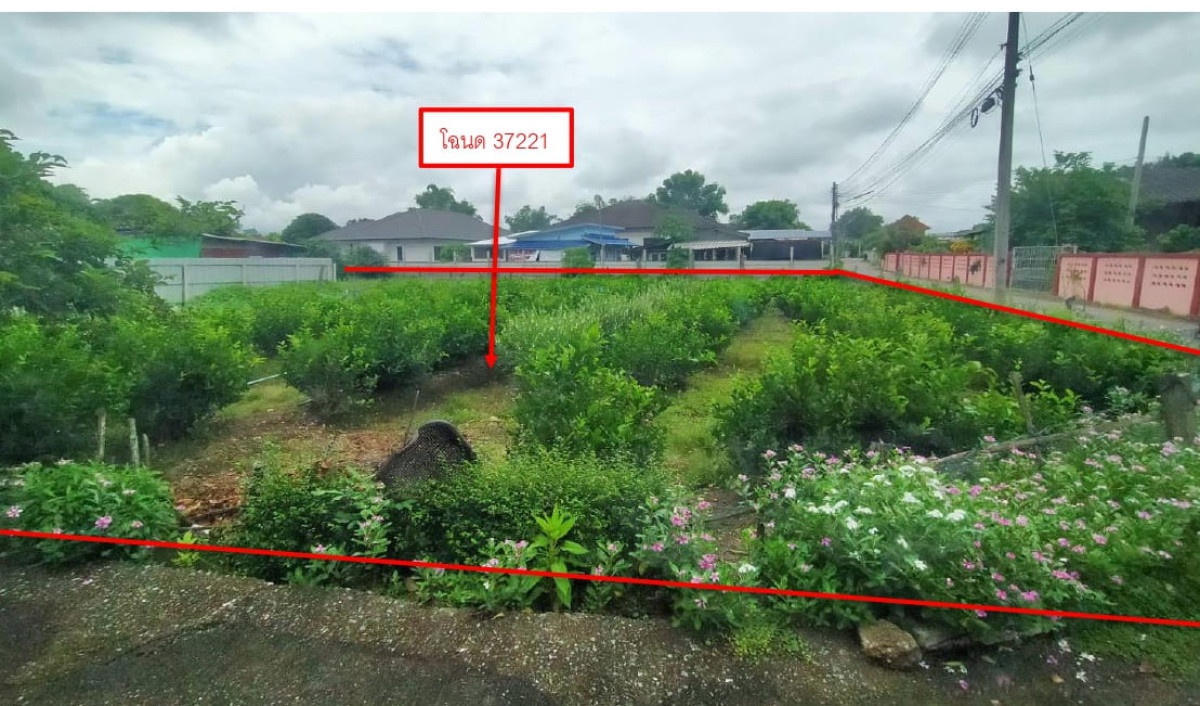 Residential land/lot Tak   373650