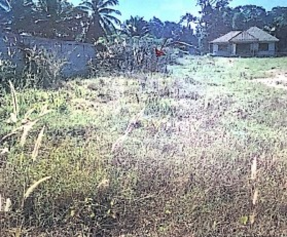 Residential land/lot Ubon Ratchathani Nam Yuen Song 77286