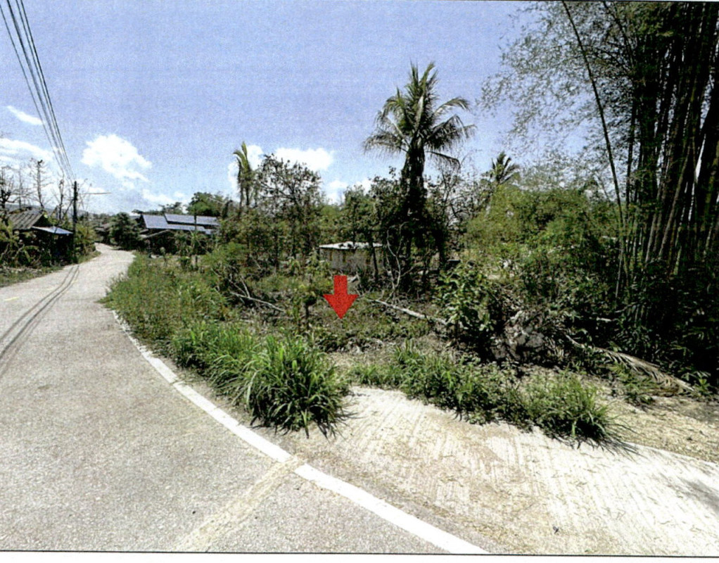Residential land/lot Lampang Chae Hom Ban Sa 15600