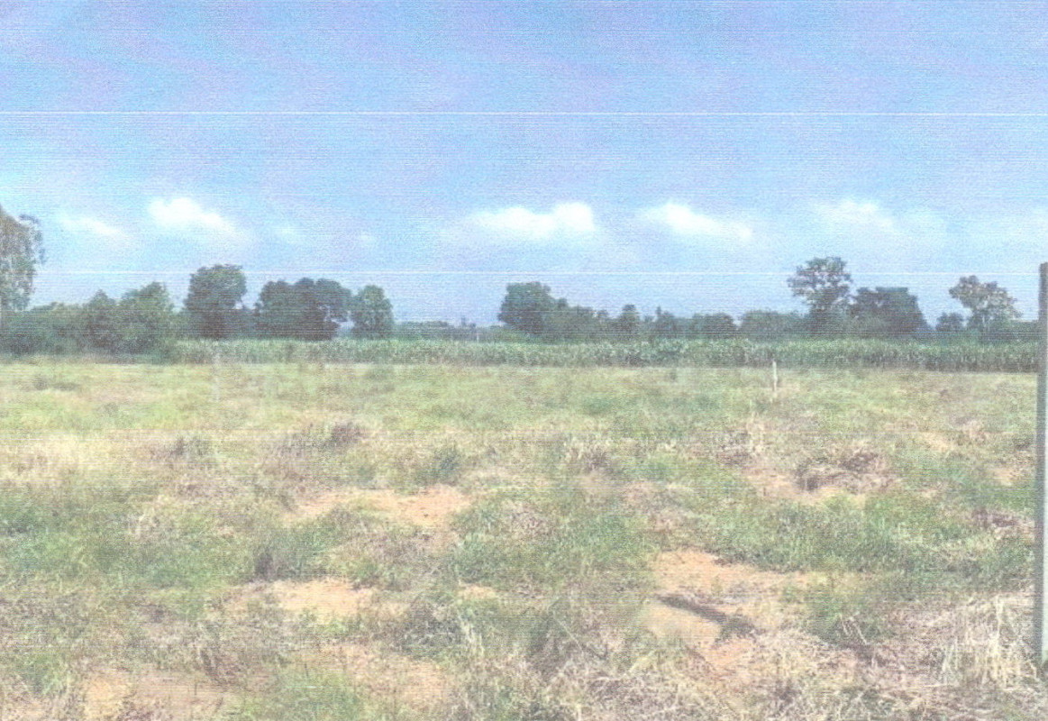 Residential land/lot Chaiyaphum Mueang Chaiyaphum Khok Sung 80080