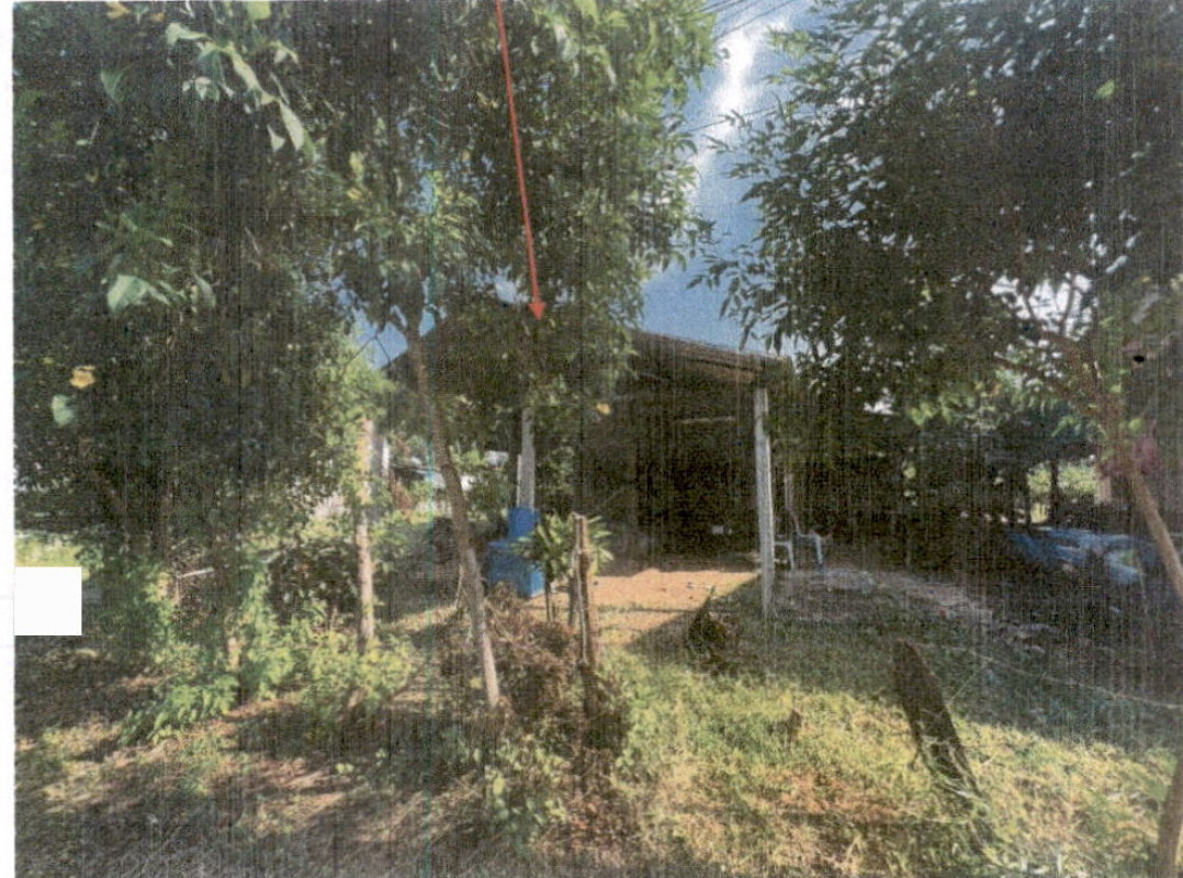 บ้านเดี่ยว นครราชสีมา บัวลาย โนนจาน 531900