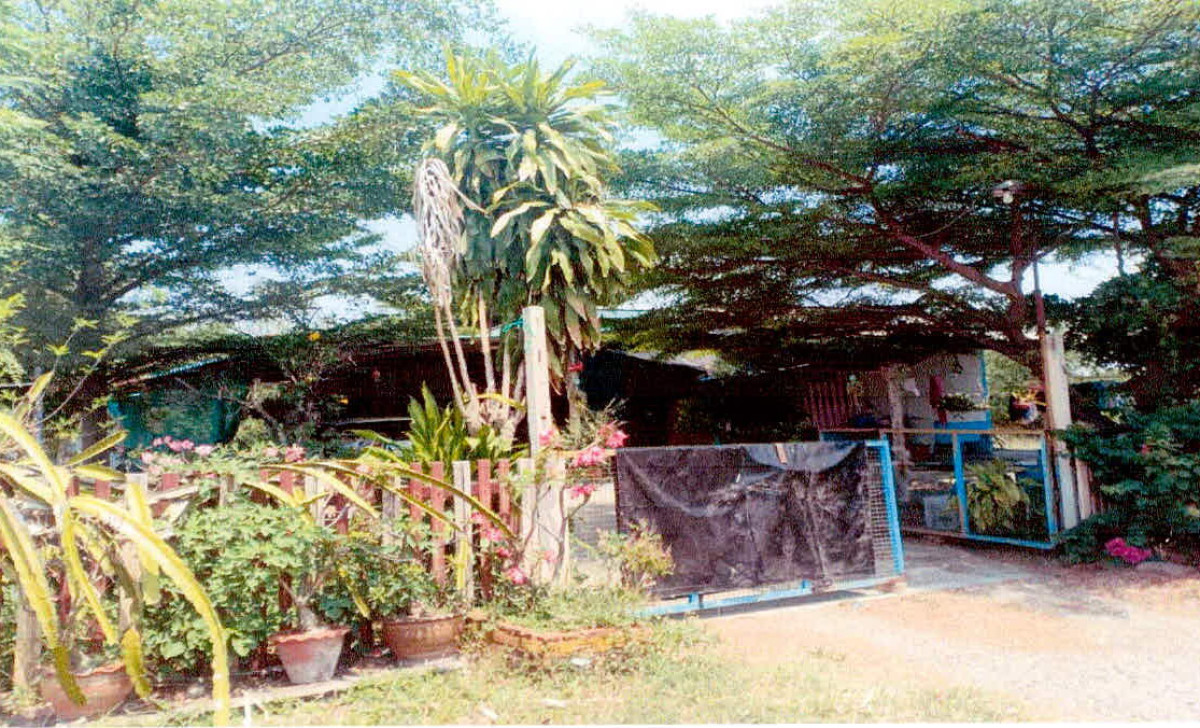 บ้านเดี่ยว ลพบุรี พัฒนานิคม ช่องสาริกา 314679