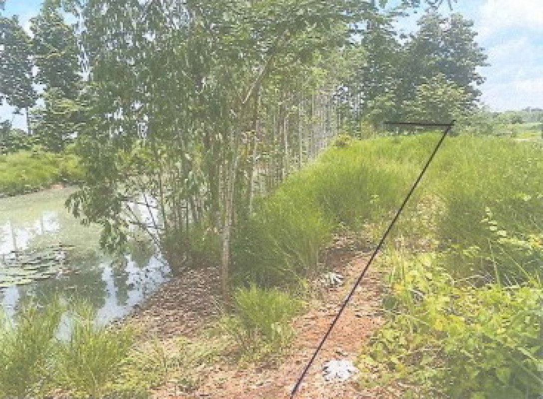 ที่ดินเปล่า กาฬสินธุ์ หนองกุงศรี หนองบัว 255000