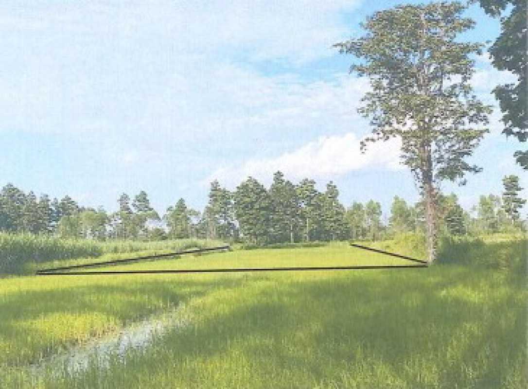 ที่ดินเปล่า กาฬสินธุ์ หนองกุงศรี หนองบัว 444000