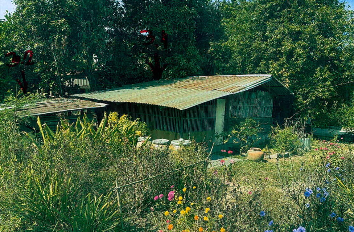 บ้านเดี่ยว สุรินทร์ จอมพระ บ้านผือ 288937
