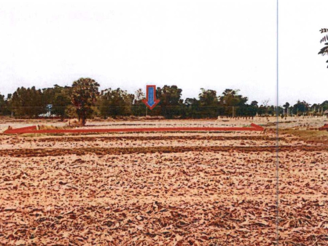 Residential land/lot Buri Ram Nang Rong Nong Yai Phim 590100