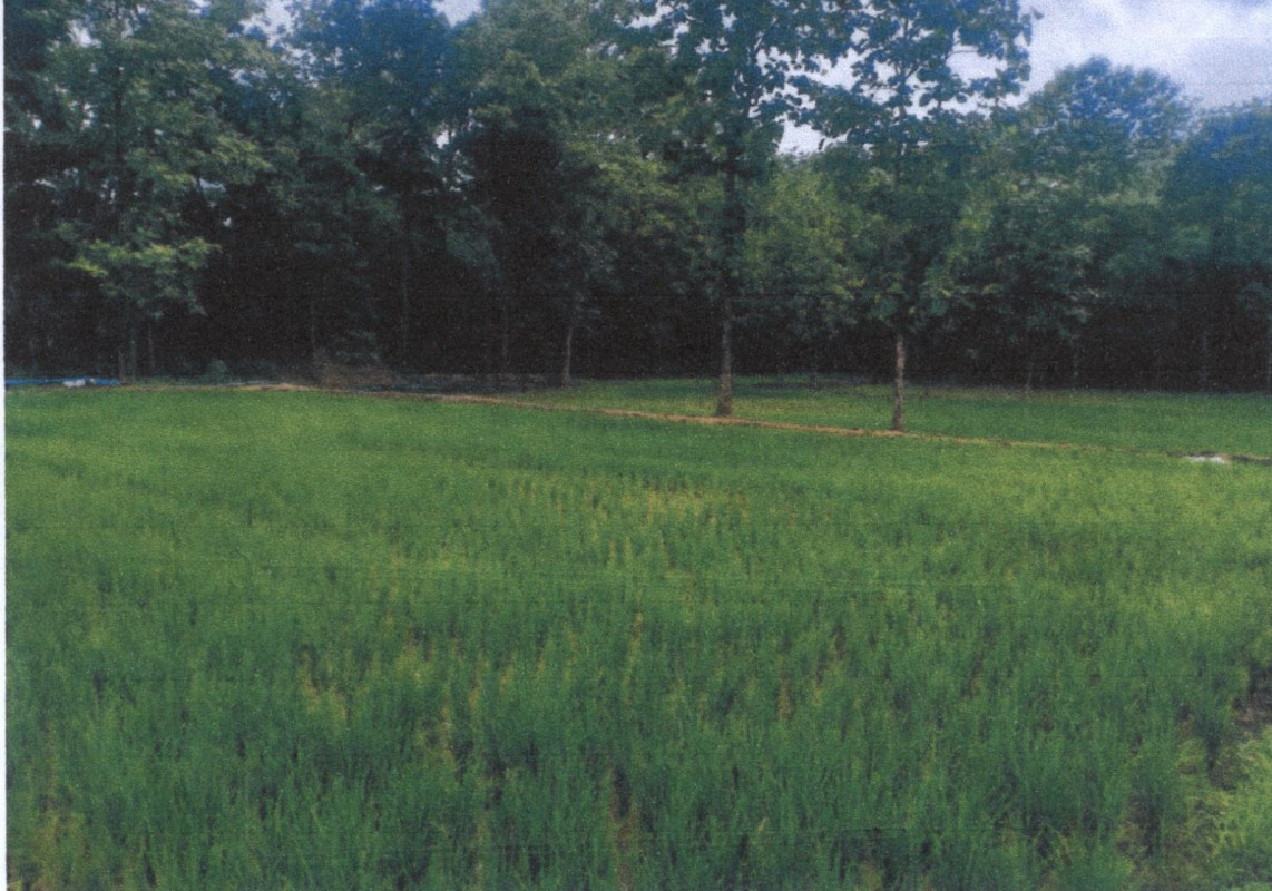 Residential land/lot Lampang Sop Prap Sop Prap 177200