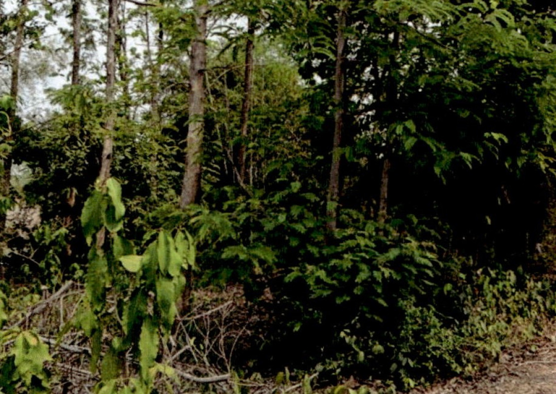 Residential land/lot Lampang Mueang Lampang Ton Thong Chai 34600