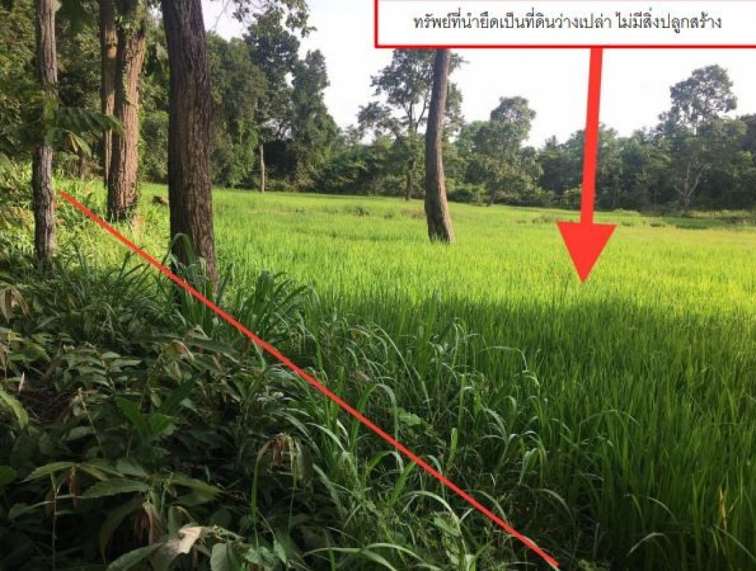 ที่ดินเปล่า อุบลราชธานี เดชอุดม ป่าโมง 341302