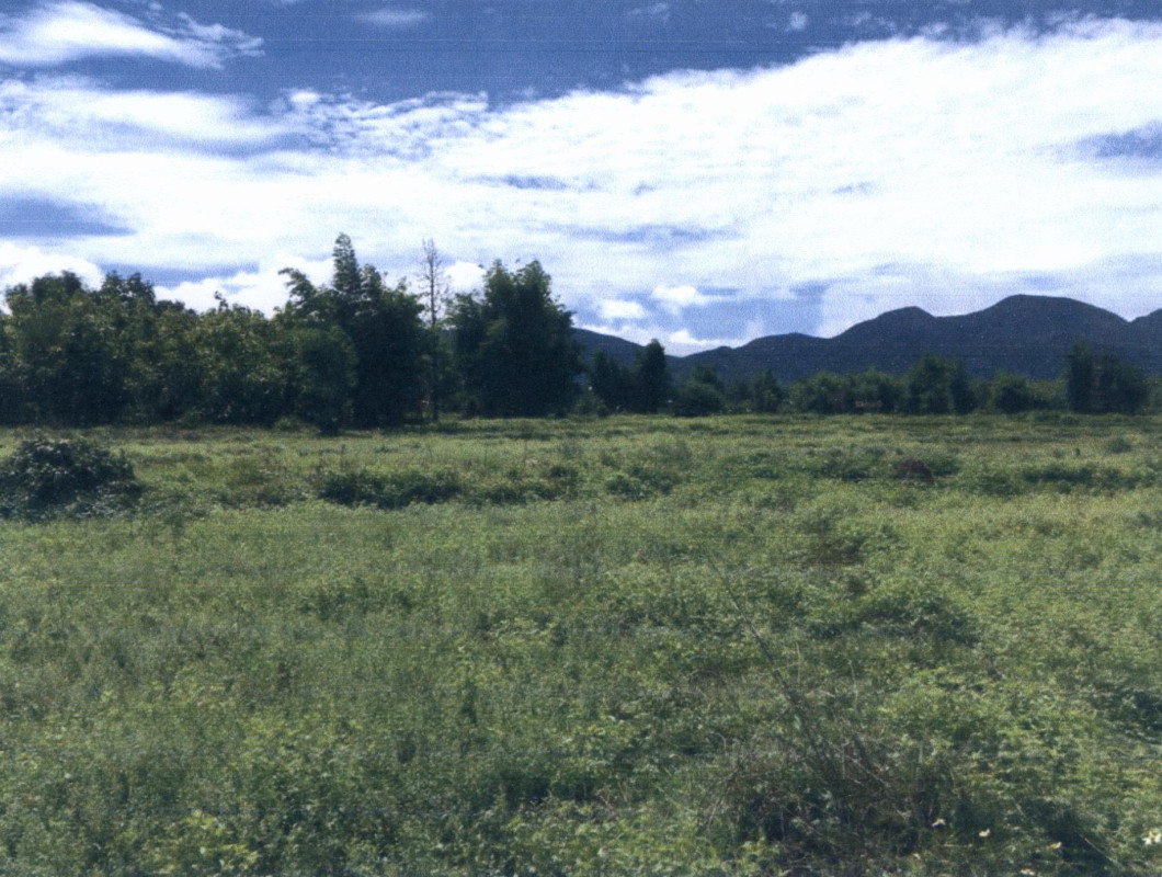 Residential land/lot Lampang Mae Tha Hua Suea 51000