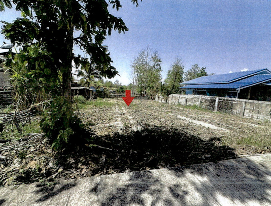 Residential land/lot Lampang Chae Hom Ban Sa 60000