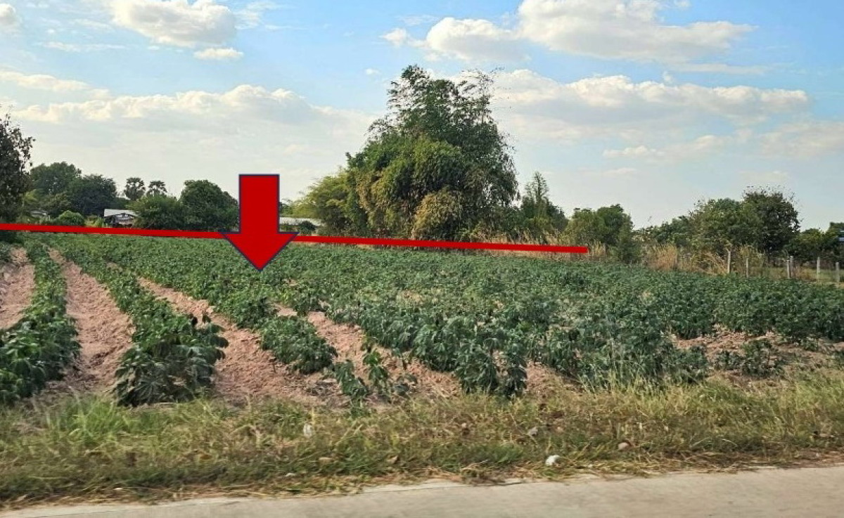 Residential land/lot Khon Kaen Khao Suan Kwang Khao Suan Kwang 511900