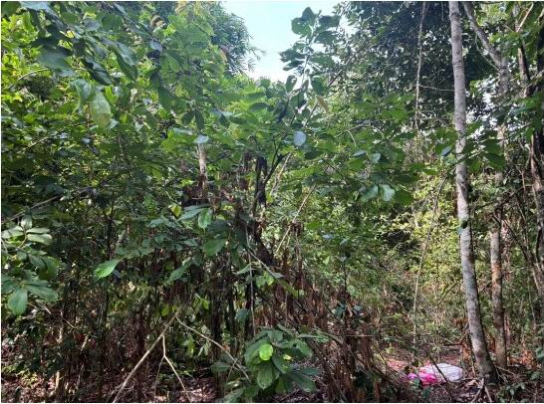 Residential land/lot Songkhla Thepha Wang Yai 737100