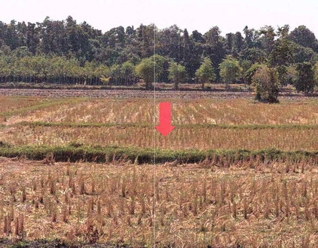 Residential land/lot Sakon Nakhon Phanna Nikhom Rai 371280