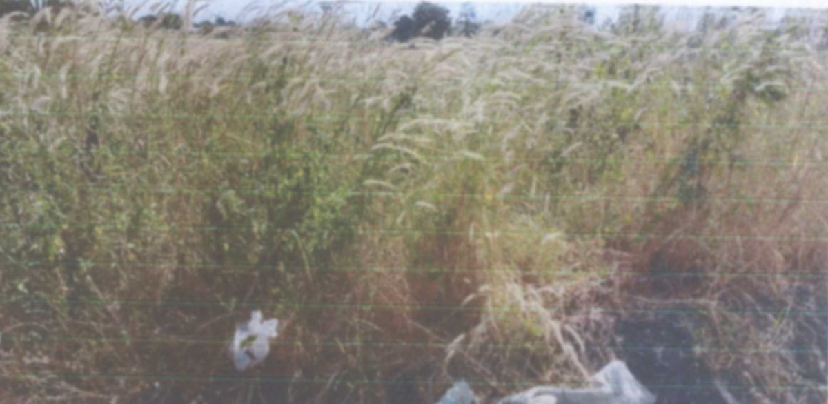 Residential land/lot Nakhon Phanom Mueang Nakhon Phanom Kham Thao 72763