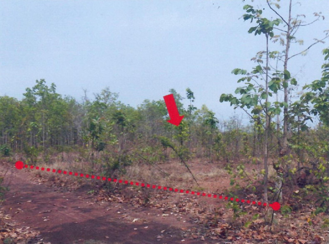 Residential land/lot Sakon Nakhon Mueang Sakon Nakhon Nong Lat 90600