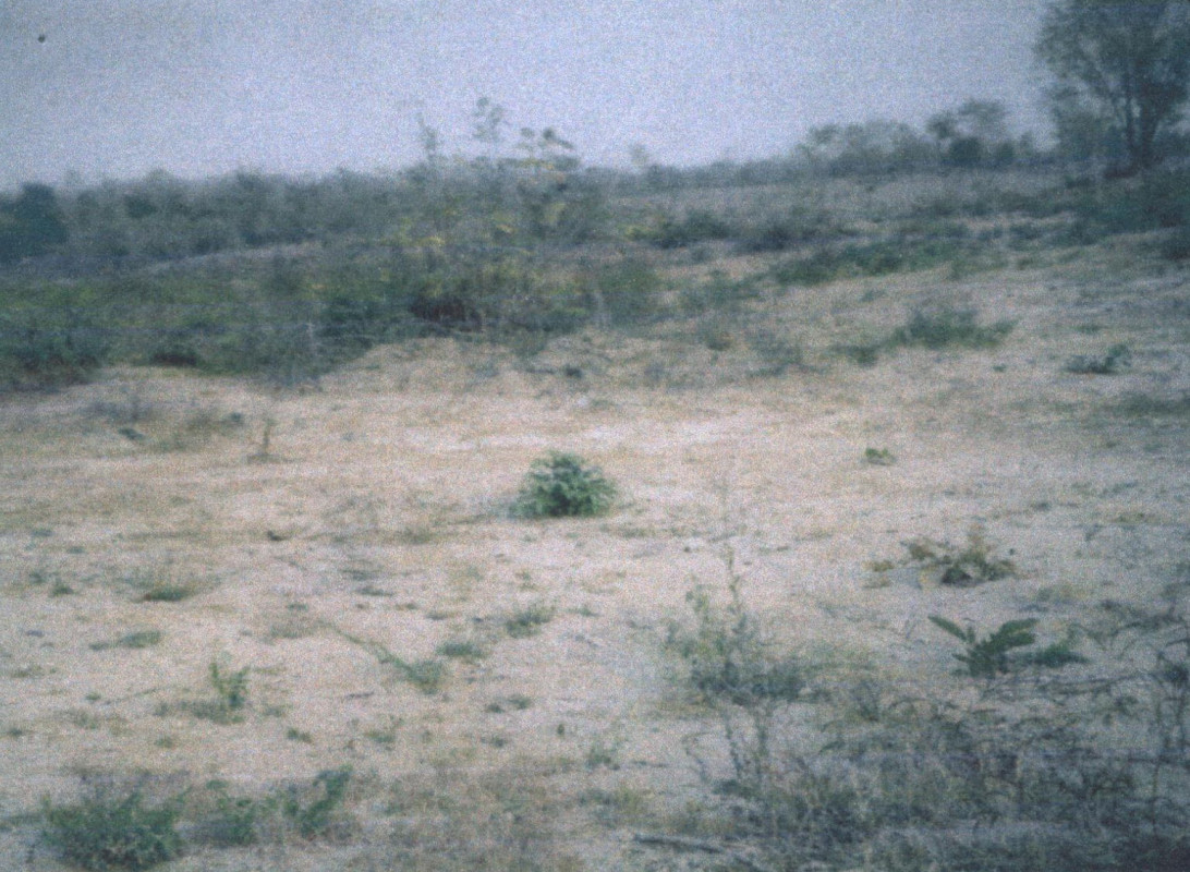 Residential land/lot Lampang Ko Kha Tha Pha 125475