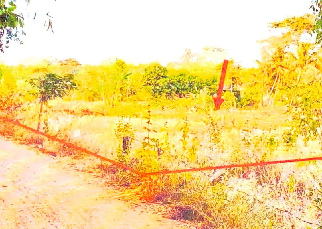 Residential land/lot Chaiyaphum Khon Sawan Ban Sok 780980