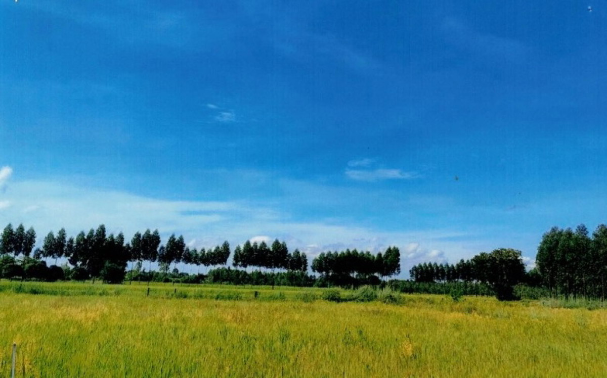 Residential land/lot Khon Kaen Ban Fang Non Khong 1107540