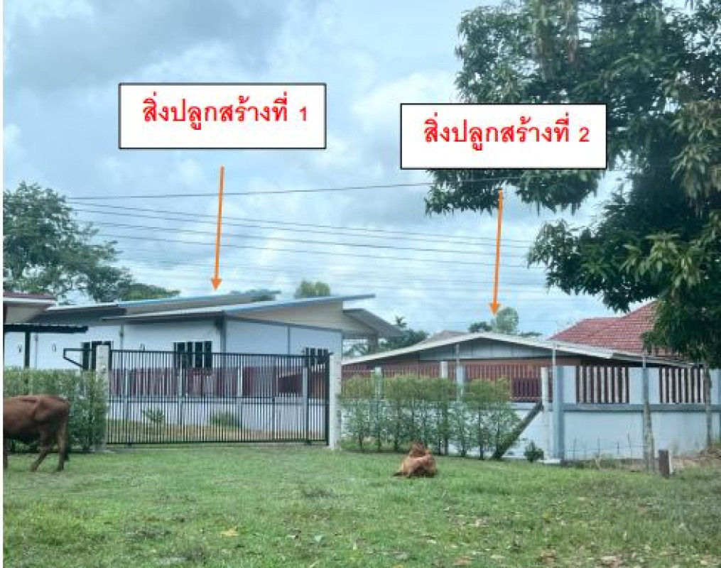 บ้านเดี่ยว อุบลราชธานี เดชอุดม ทุ่งเทิง 1132950
