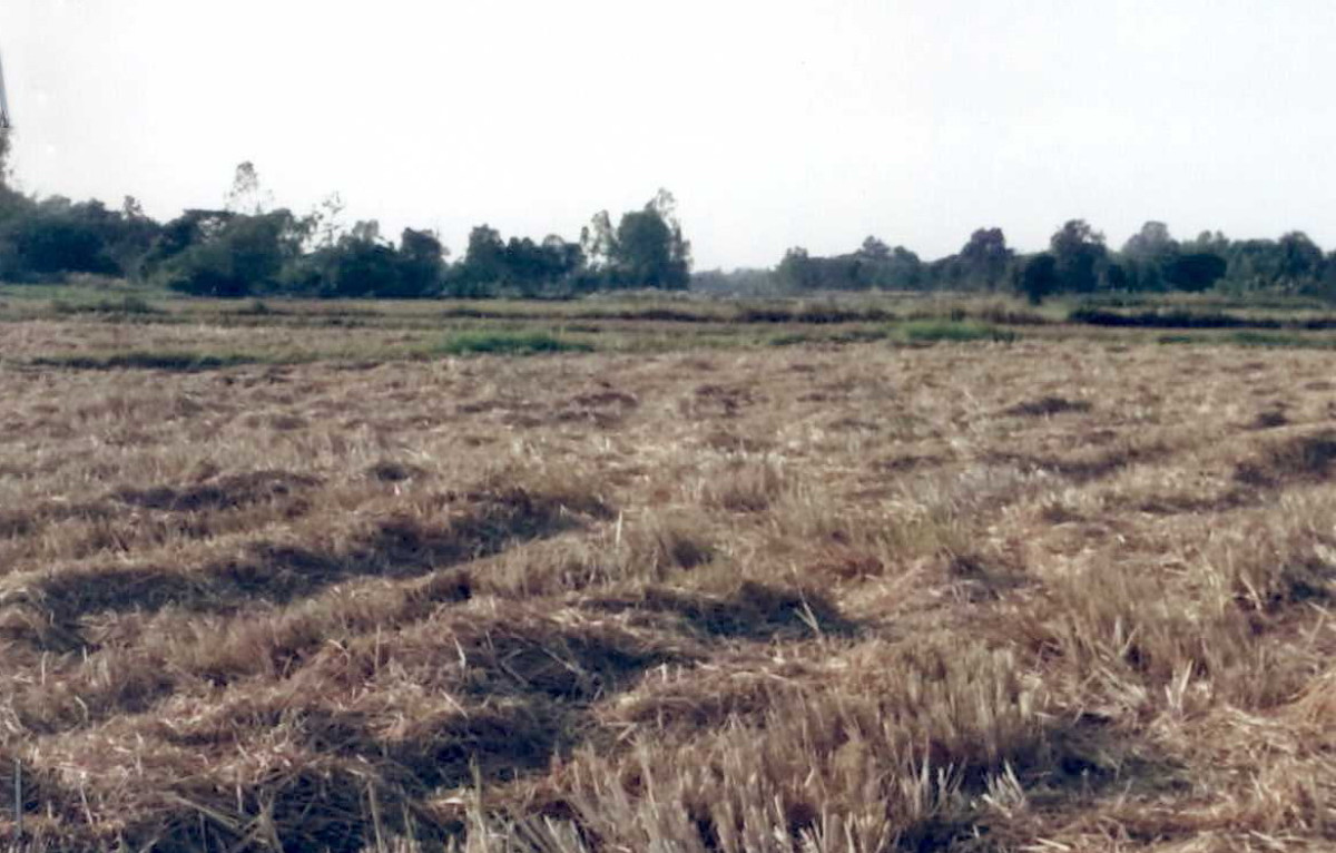 Residential land/lot Kalasin Kamalasai Dong Ling 726700