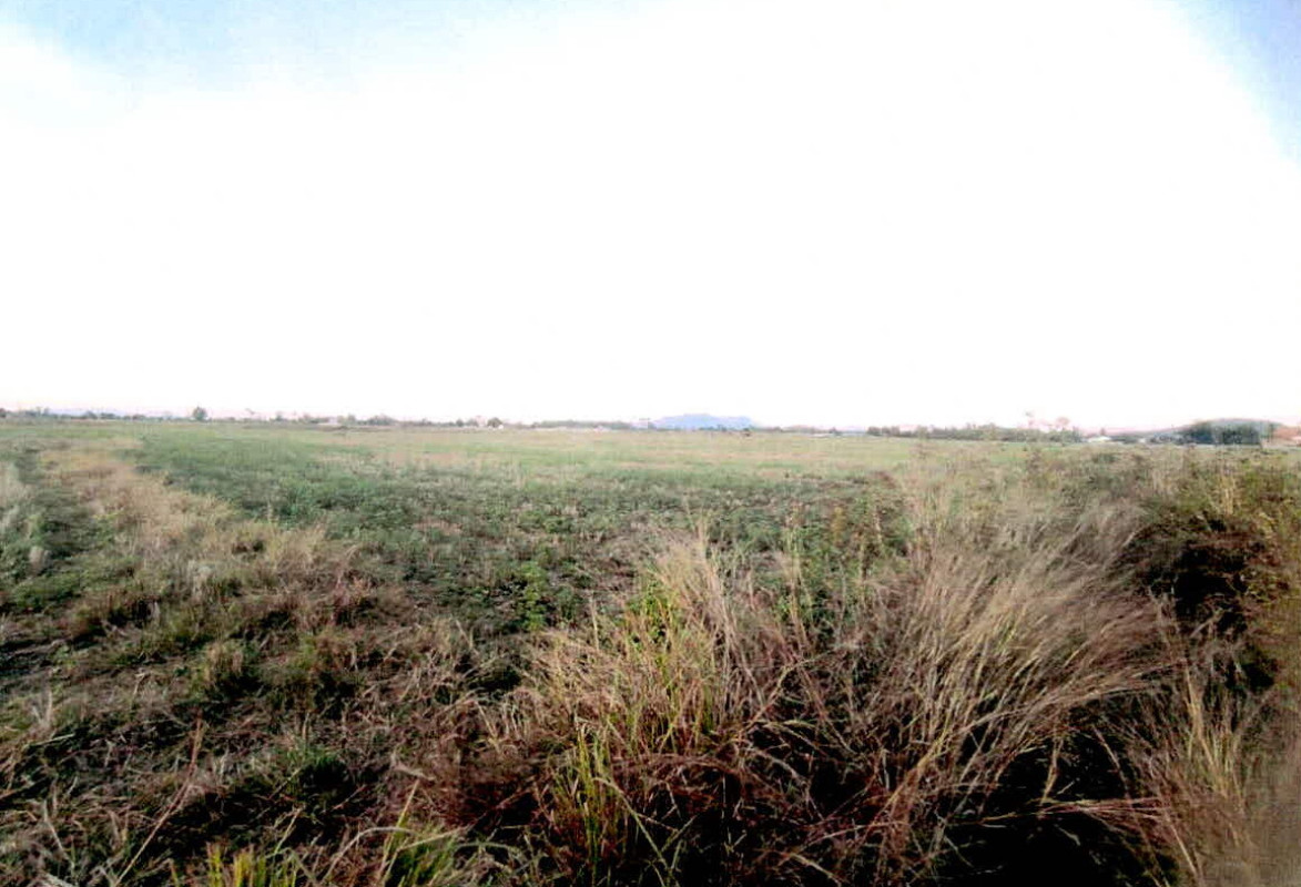 Residential land/lot Lampang Mae Tha Na Khrua 181260