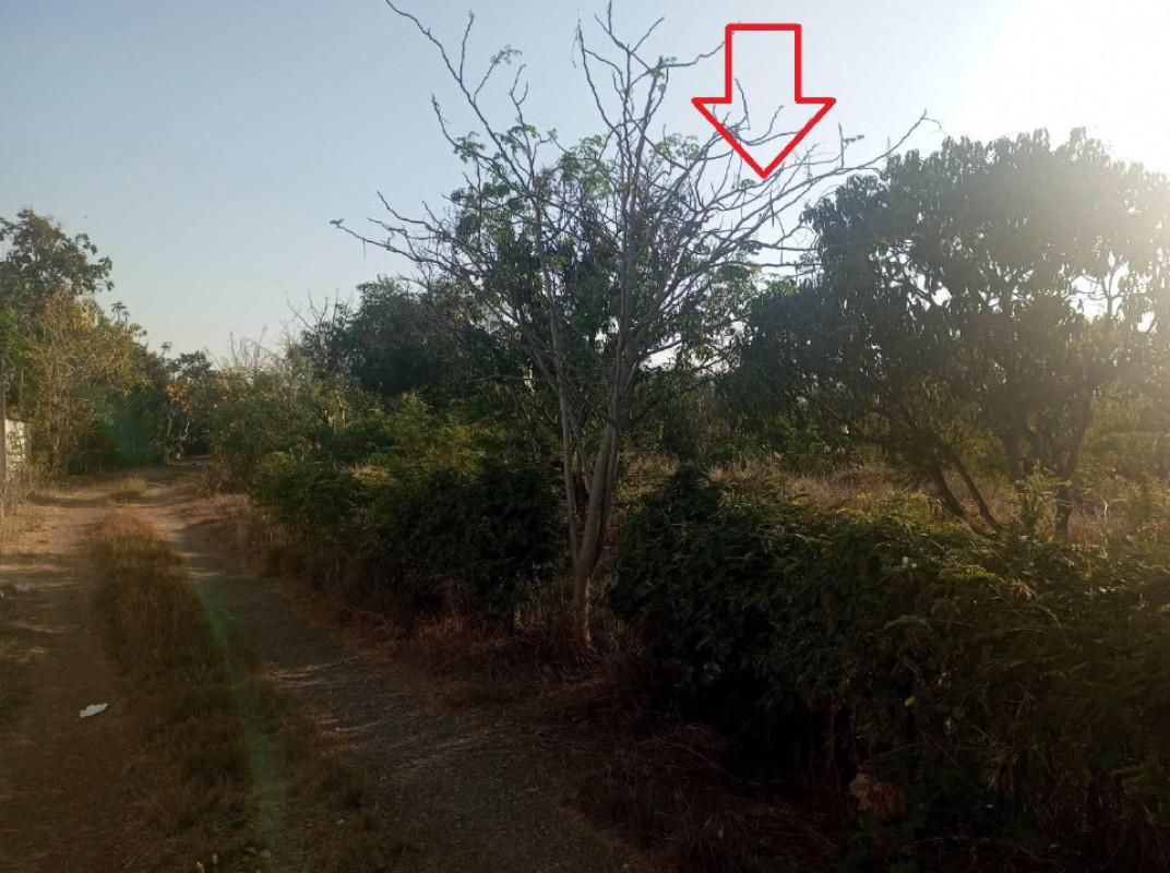 Residential land/lot Nakhon Pathom Bang Len Bang Pla 80000