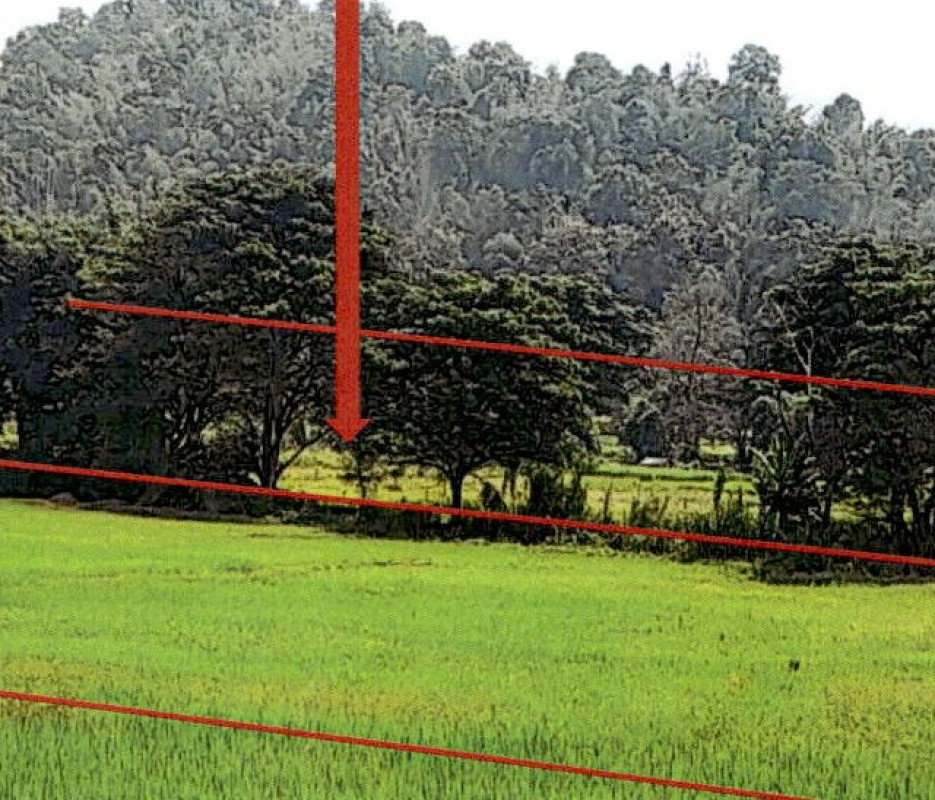 Residential land/lot Lampang Wang Nuea Thung Hua 20800