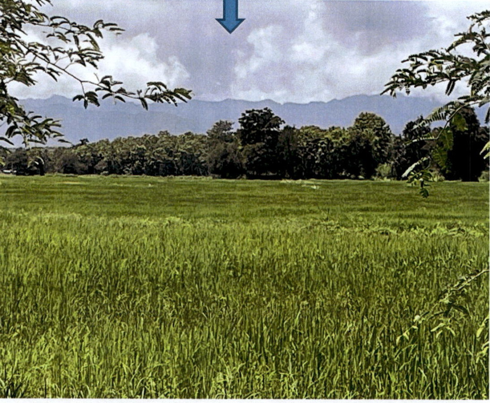ที่ดินเปล่า ลำปาง งาว บ้านแหง 362400