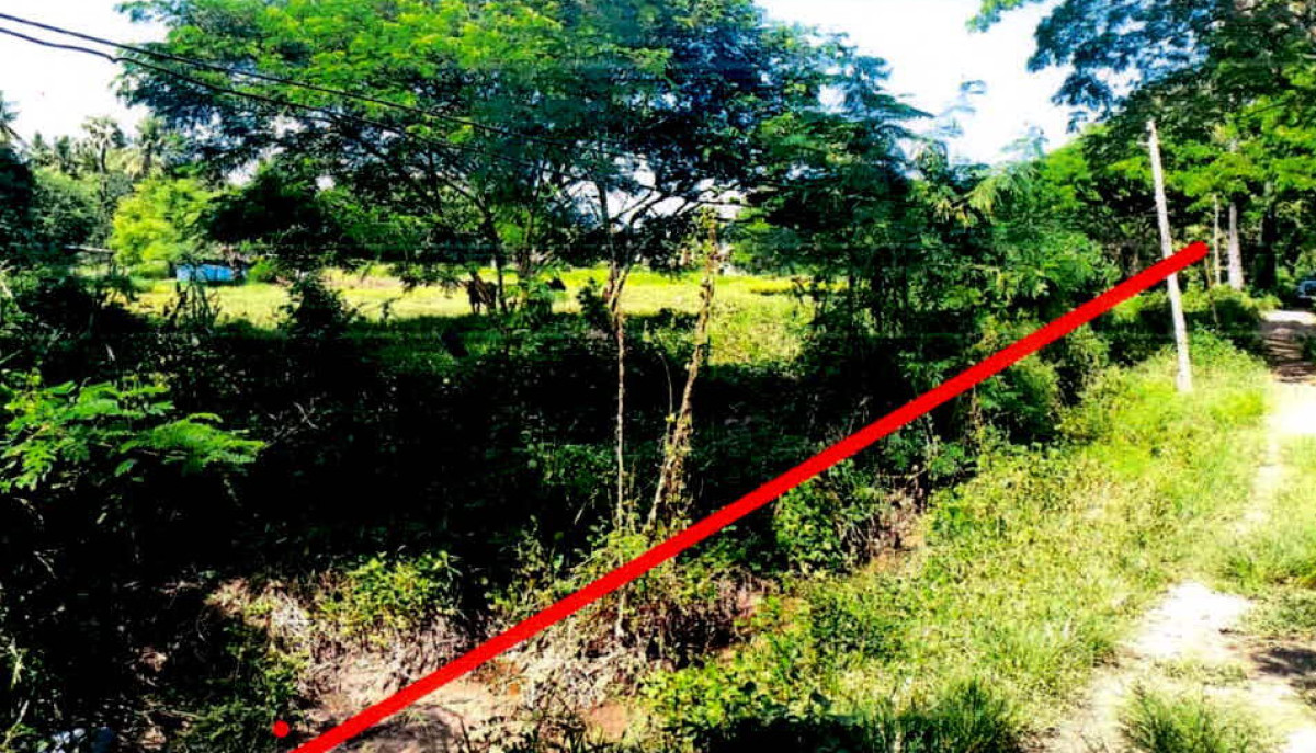 ที่ดินเปล่า ลำปาง เกาะคา ใหม่พัฒนา 980320