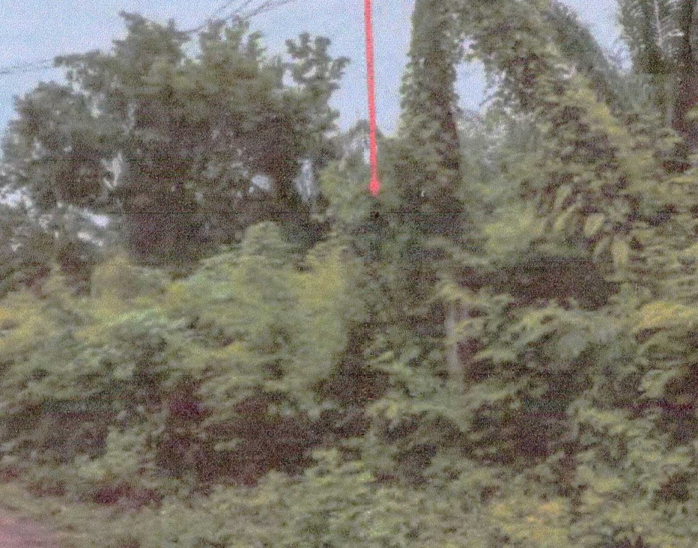 ที่ดินเปล่า บึงกาฬ โซ่พิสัย คำแก้ว 1399625