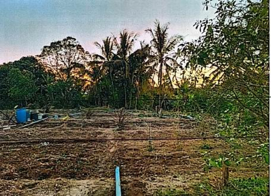 Residential land/lot Nakhon Phanom Ban Phaeng Phai Lom 22950